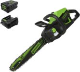 Top 10 Best Mini Chainsaws 2026