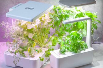 Top 10 Best Herb Gardens 2026